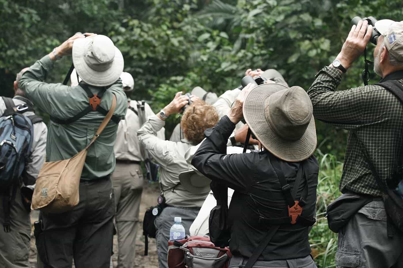 A group of birdwatchers with binoculars